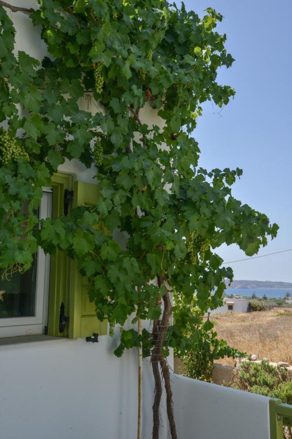 Zeras Apartments Adamantas (Milos) Exterior foto